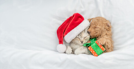Cute tiny Toy Poodle puppy wearing red santa hat and tabby kitten sleep together under white warm...