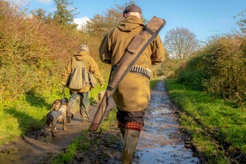 Back view of young hunters walking with their dogs in nature