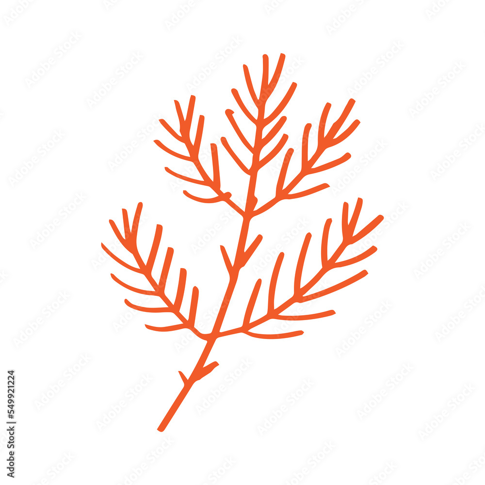 Poster pine leaf in minimalist boho and vintage hand drawn illustration for design element.