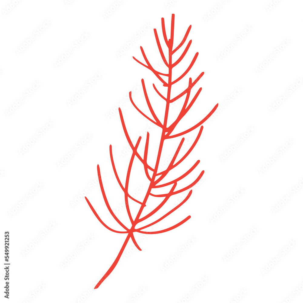 Poster pine leaf in minimalist boho and vintage hand drawn illustration for design element.