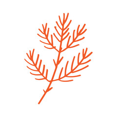 Pine leaf in minimalist boho and vintage hand drawn illustration for design element.	