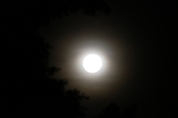 Moon - Moon Light