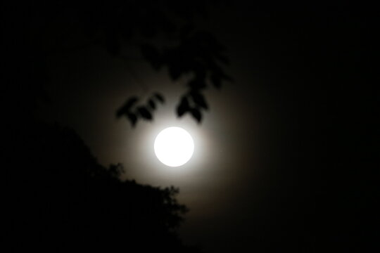 Moon - Moon Light © Kowsi