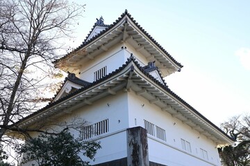 Fototapeta na wymiar Sendai, Miyagi, Japan, November 2022. Scenery around Sendai Castle Otemon Ruins.