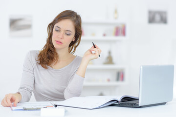 Lady doing office work at home