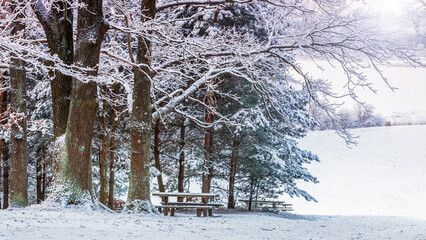 Zima na Warmii © Janusz Lipiński