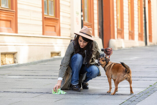 Young woman cleaning dogs excrement on street, Pet owner picks up dog's poop cleaning up mess.