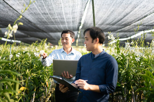 Young Man Farmer Working At His Orchid Farm. Young Man Notes The Information On The Notepad To Track The Growth Of Orchid. Portrait Asian Small Business Owner Of Orchid Gardening Farm.