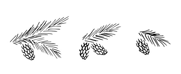 Simple black outline vector drawing. Set of plant elements for Christmas decoration. Coniferous branches and cones. Ink sketch.