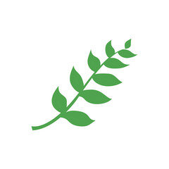 Leaf Clip Art isolated on a white background. 