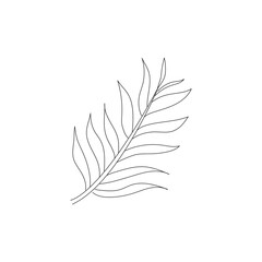 Areca Palm leaves Leaf icon isolated on a white background.