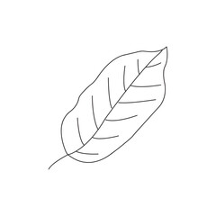 Leaf Icon isolated on a white background.