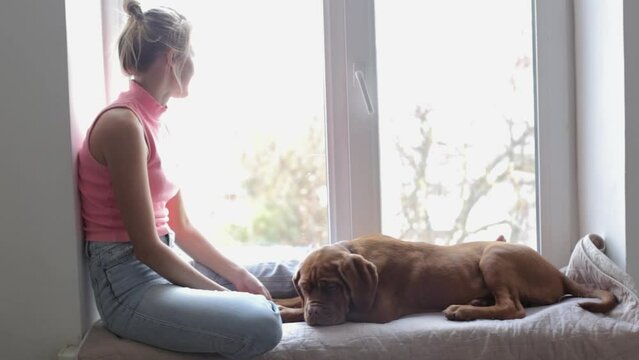 The happy owner of a Dogue de Bordeaux puppy is sitting with him on the windowsill