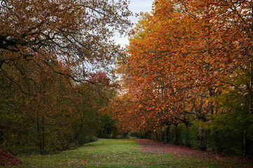 Parc d'automne en France