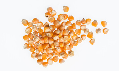  corn kernels : Close-up of organic yellow corn seed, Dried corn kernels on white background, top view