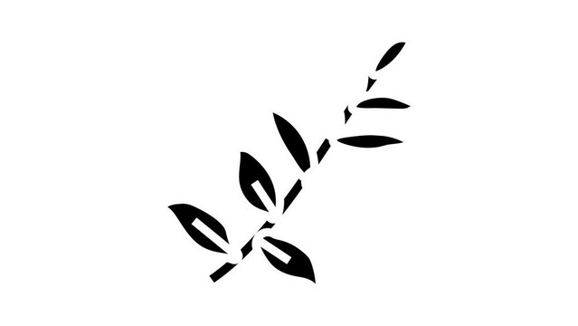 zamioculcas tropical leaf glyph icon animation