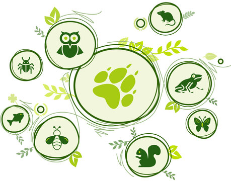 wildlife / biodiversity icon concept – endangered animals icons, vector illustration with best icons and white background vector illustration concept 