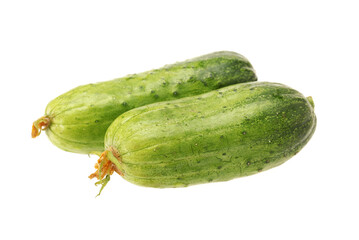 cucumber isolated on white background