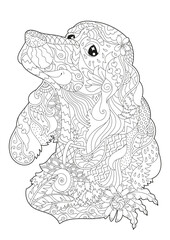 Fototapeta premium Anti-stress coloring book with a portrait of an English Cocker spaniel, with beautiful ornaments for coloring by children and adults