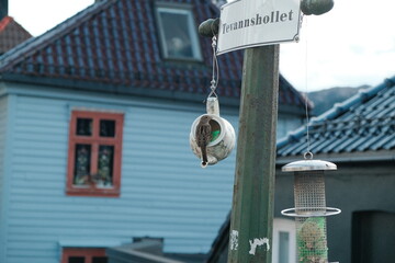 bergen norway sign in the city