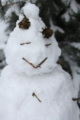 Snowmen are molded from snow in winter