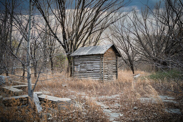 Winter Forest Log Cabin Horror House