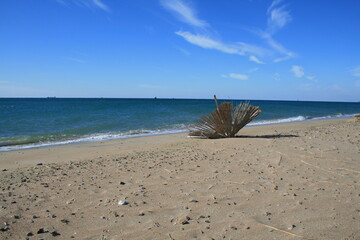 A deserted beach on the Black Sea coast.