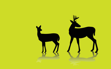 Collection of deer - deer family. Deer in various poses. vector illustration