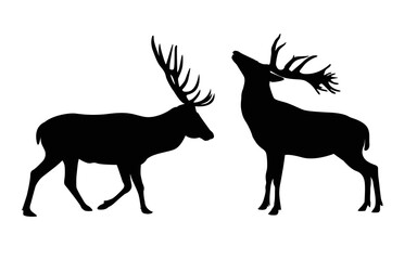 Two male silhouette deer, isolated on white background. Deer logo, template, Vector illustration.