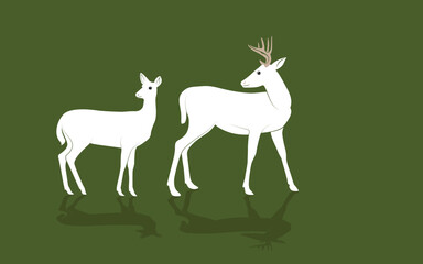 White-tailed deer - deer family. Deer in various poses. vector illustration