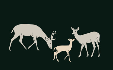 Deer - deer family. Deer in various poses. vector illustration