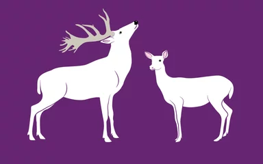 Foto op Canvas White-tailed deer - deer family. Deer in various poses. vector illustration © SIRAPOB