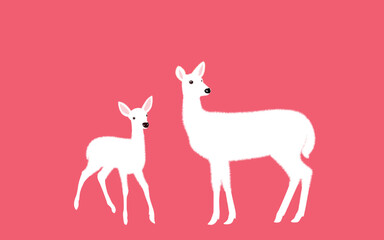 Fototapeta na wymiar White-tailed deer - deer family. Deer in various poses. Female deer, vector illustration