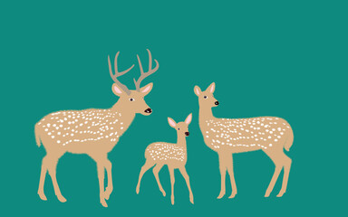 Deer - deer family. Deer in various poses. vector illustration