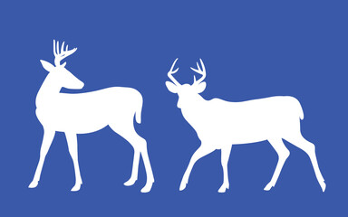 White-tailed deer - deer family. Deer in various poses. vector illustration