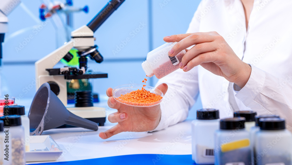 Poster food quality inspection laboratory lentil seeds in a petri dish for biochemical control