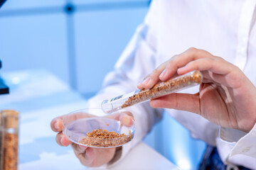 food quality inspection laboratory flax linen seeds in petri dish for biochemical analysis