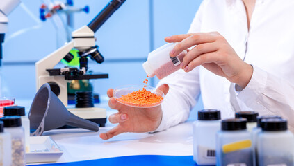 food quality inspection laboratory lentil seeds in a petri dish for biochemical control