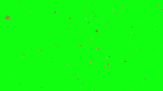 Leaves falling on green screen background