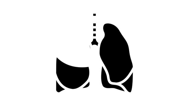 lung human organ glyph icon animation