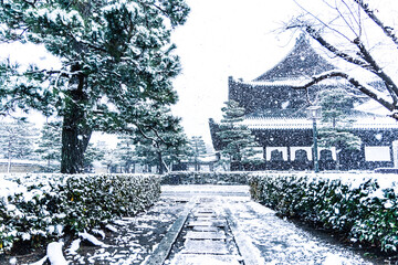 冬の京都