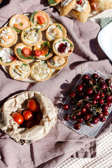 Rest on a picnic with a funeral mood. Picnic food in nature. High quality photo