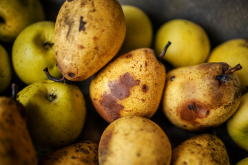 Close up of a rotten pears.
