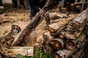 A lumberjack is working with woods outside. - obrazy, fototapety, plakaty