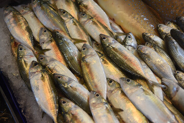 Fische und Meeresfrüchte auf Markt