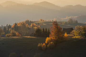 Autumn in Bran village. Rural landscape in the Carpathian Mountains, Romania