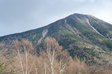 Forest and Mount Nantai. Nikko National Park. Japan.
