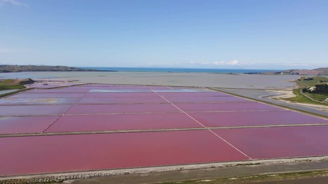 Bright pink Salt works ponds with Ocean in the background. Aerial arching shot