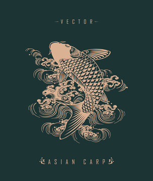 Chinese carp traditional art form