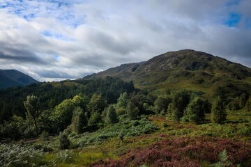 Fototapeta premium Scenic landscape near Glenfinnan viaduct, Scotland